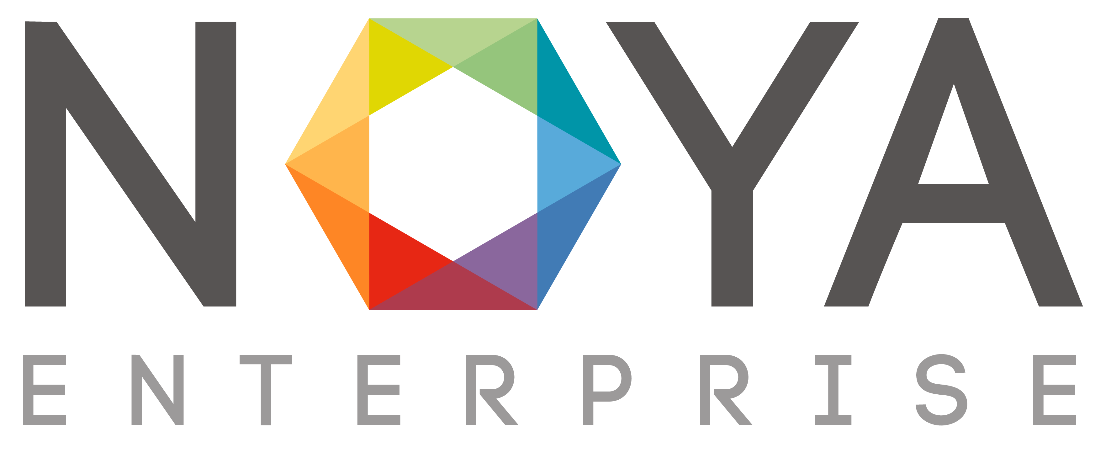 NOYA Enterprise