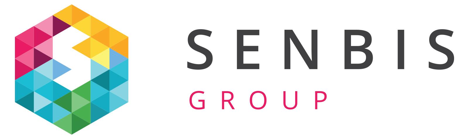 Senbis Group B.V